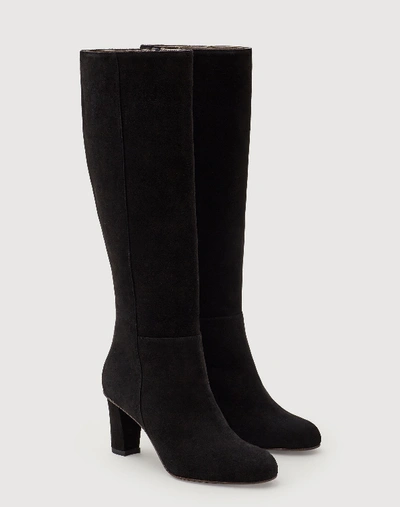 Shop Lafayette 148 Tall Claremont Boot In Black