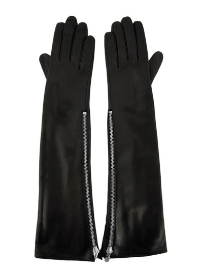 Shop Sermoneta Gloves Leather Gloves In Black