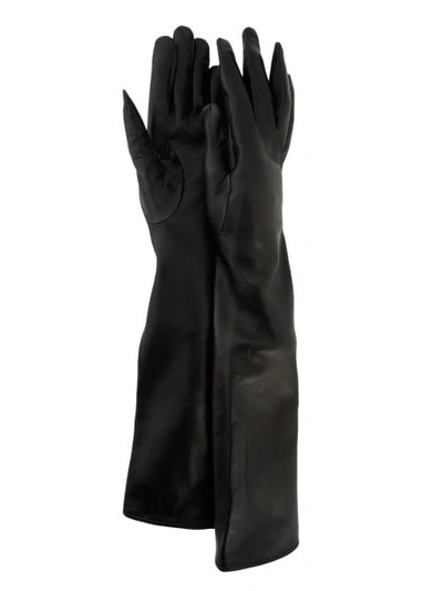 Shop Sermoneta Gloves Leather Gloves In Black