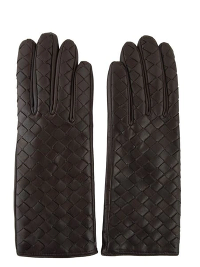 Shop Sermoneta Gloves Ladie's Gloves In Dark Brown