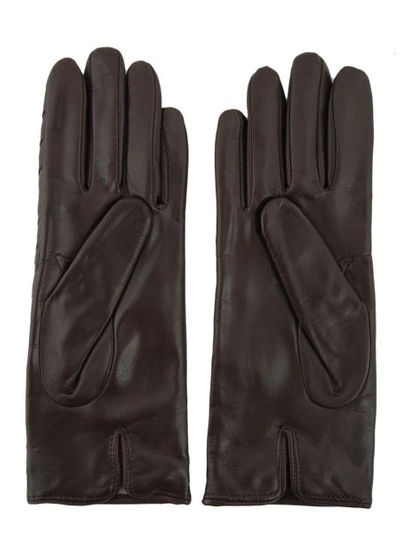 Shop Sermoneta Gloves Ladie's Gloves In Dark Brown