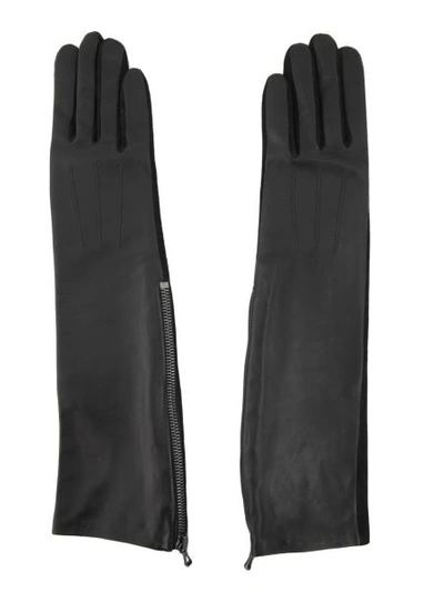 Shop Lanvin Long Gloves In Black