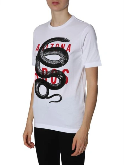 Shop Dsquared2 Renny Fit Cotton T-shirt With Embroidered Snake In White