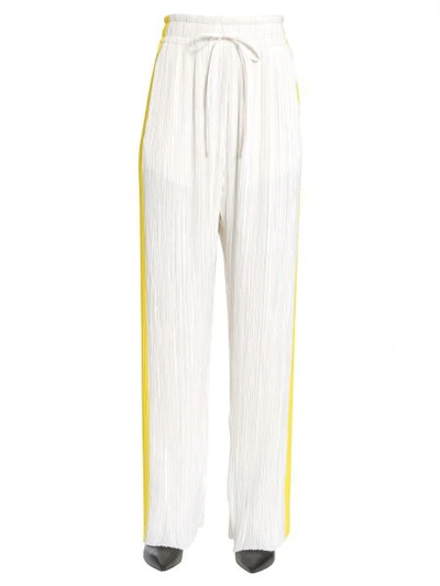 Shop Haider Ackermann Pleated "canis" Trousers In Multicolour