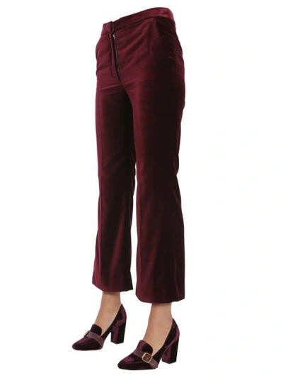 Shop Stella Mccartney Velvet Trousers In Bordeaux