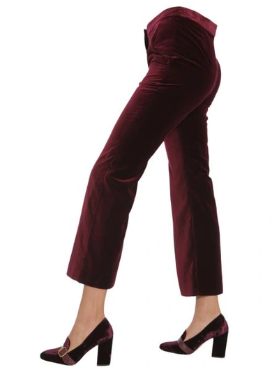 Shop Stella Mccartney Velvet Trousers In Bordeaux