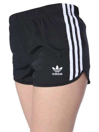 Shop Adidas Originals 3-stripes Shorts In Black