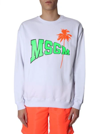 Shop Msgm Sweatshirt With Fluo Logo And Palm In White