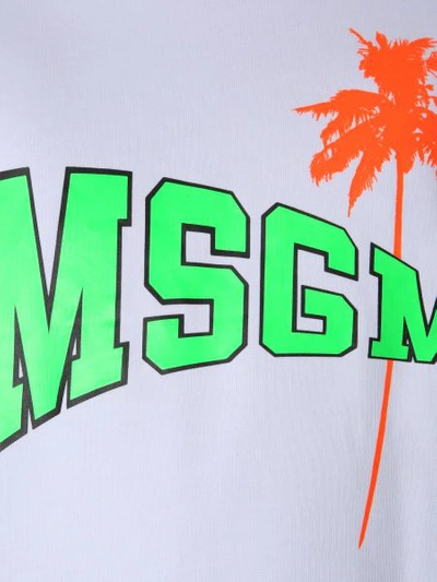 Shop Msgm Sweatshirt With Fluo Logo And Palm In White