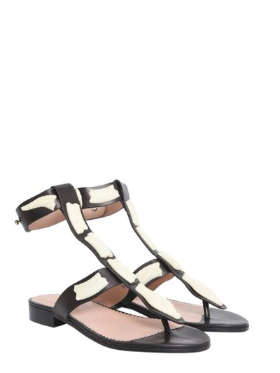 Shop Red Valentino Red (v) Snake Sandals In Black