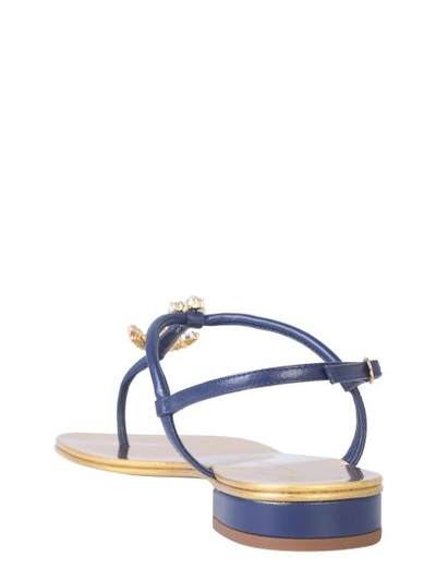 Shop Giuseppe Zanotti Crystal Anchor Flip-flops In Blue