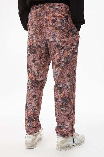 Shop Alexander Wang Printed Nylon Track Pant In Hustler Repeat