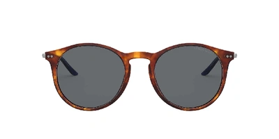 Giorgio Armani Ar8121 Red Havana Male Sunglasses In Grey
