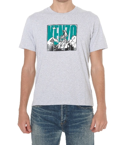 Shop Kenzo Tiger Mountain T-shirt In Grey