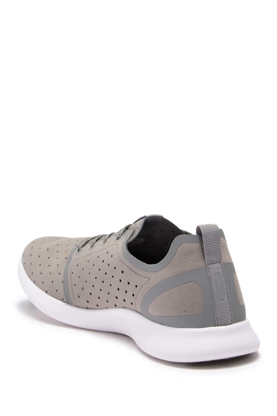 Shop Steve Madden Friar Sport Sneaker In Grey