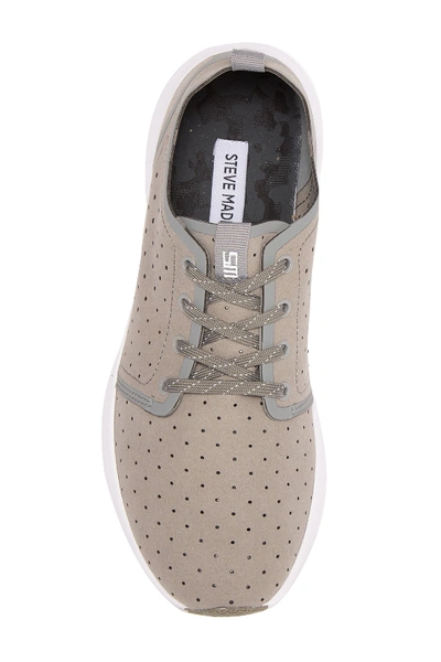 Shop Steve Madden Friar Sport Sneaker In Grey