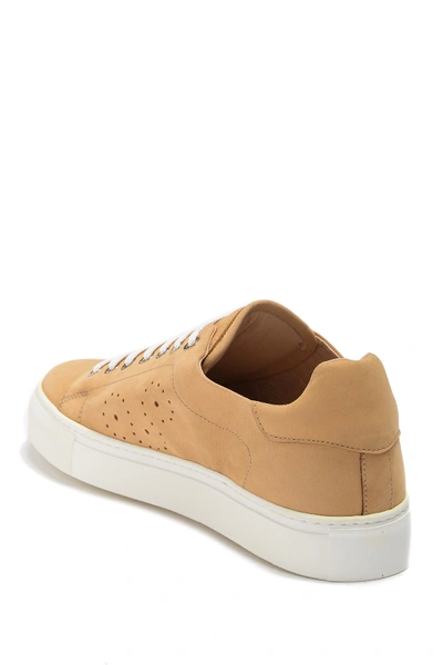 Shop Bugatchi Solid Nubuck Leather Sneaker In Maple
