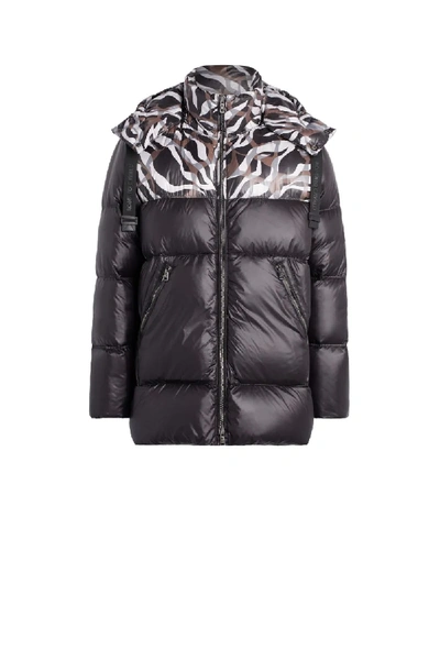 Shop Roberto Cavalli Contrast Hood Down Jacket In Grey