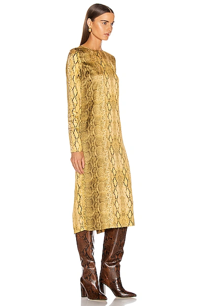 Shop Andamane Beulah Midi Dress In Yellow Snake