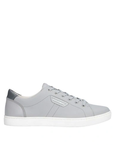 Shop Dolce & Gabbana Man Sneakers Light Grey Size 8.5 Calfskin