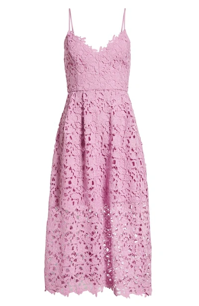 Shop Astr Lace Midi Dress In Light Orchid
