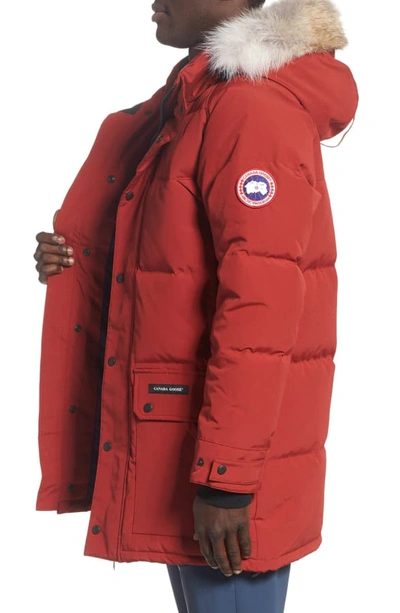 Shop Canada Goose Emory Slim Fit Genuine Coyote Fur Trim Parka In Red Maple