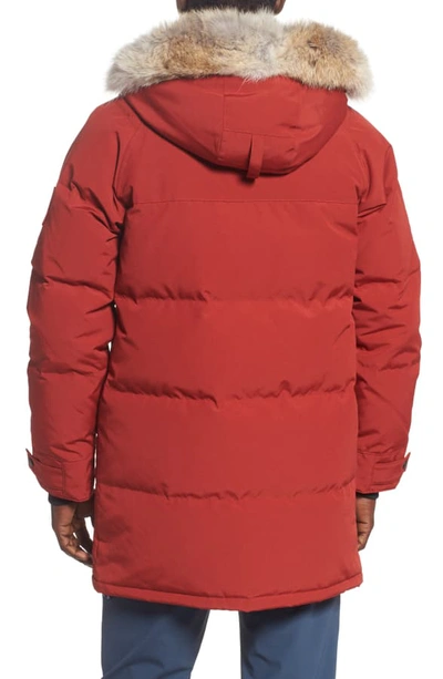 Shop Canada Goose Emory Slim Fit Genuine Coyote Fur Trim Parka In Red Maple