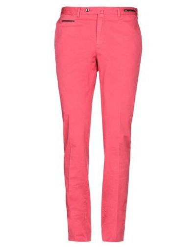 Shop Pt01 Pt Torino Man Pants Fuchsia Size 30 Cotton, Elastane In Pink