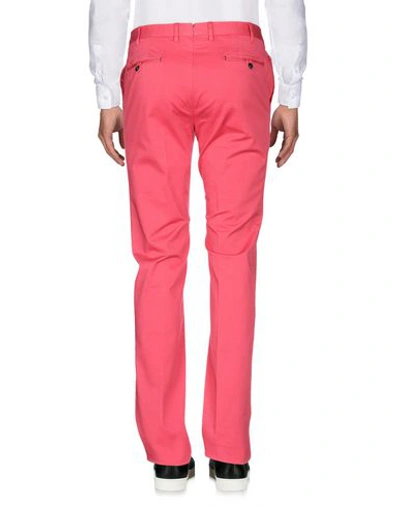 Shop Pt01 Pt Torino Man Pants Fuchsia Size 30 Cotton, Elastane In Pink