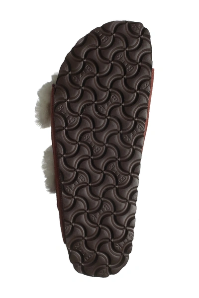 Shop Birkenstock Arizona Genuine Shearling Lined Slide Sandal - Discontinued In Red