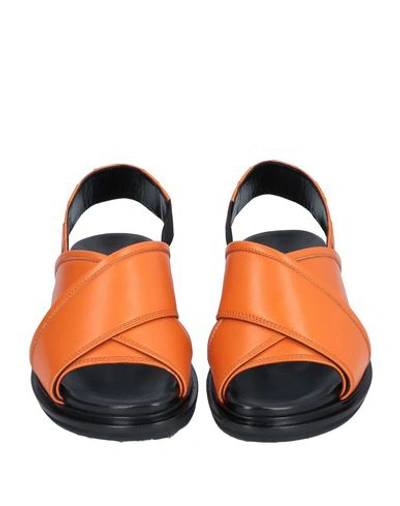 Shop Marni Sandals In Orange