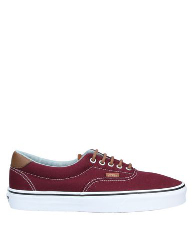 solid maroon vans