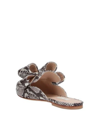 Shop Polly Plume Mules & Clogs In Dark Brown
