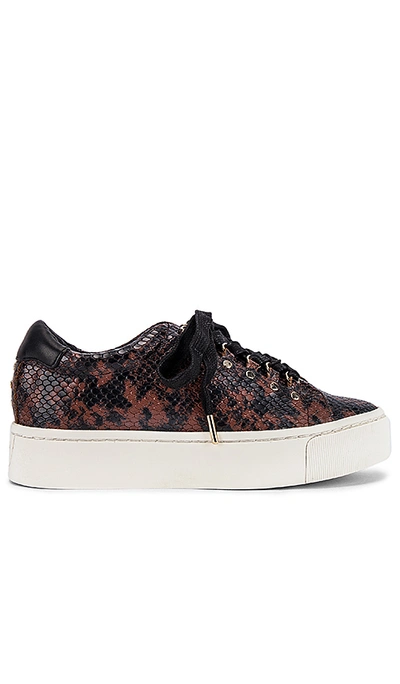 Shop Joie Handan Sneaker In Rosewood Python Print