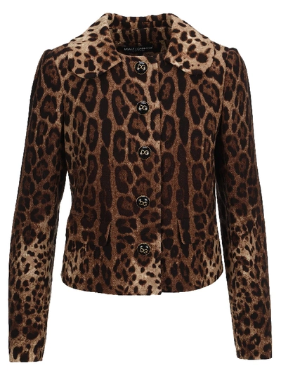Shop Dolce & Gabbana Leopard Print Jacket