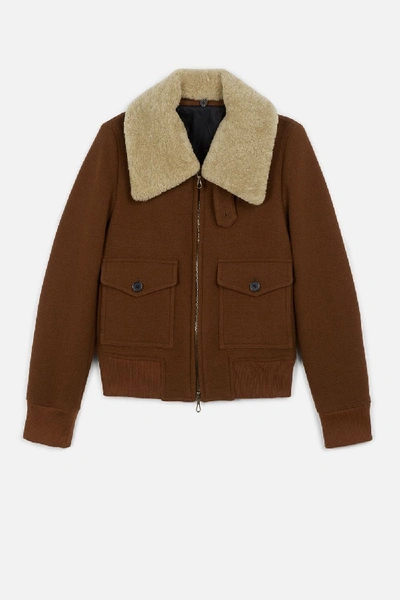 Shop Ami Alexandre Mattiussi Women's Zipped Jacket With Shearling Collar In Brown