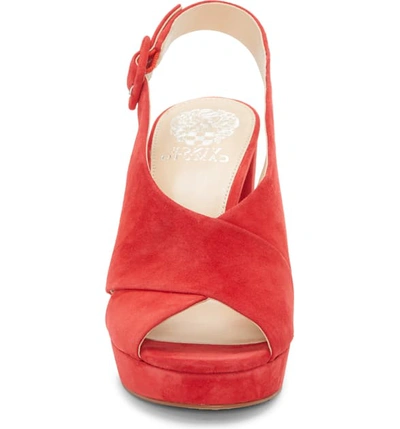 Shop Vince Camuto Javasan Slingback Platform Sandal In Glamour Red Suede