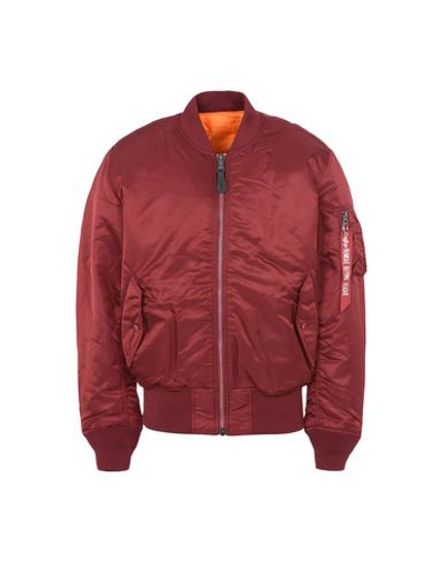 Shop Alpha Industries Ma-1 Man Jacket Burgundy Size L Nylon In Red