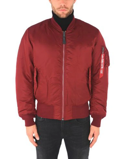 Shop Alpha Industries Ma-1 Man Jacket Burgundy Size L Nylon In Red
