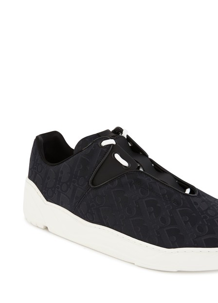 dior b17 oblique