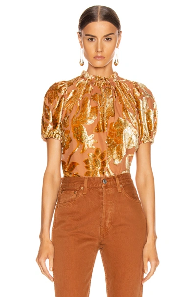 Shop Ulla Johnson Paola Top In Rose Gold