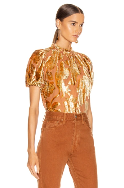 Shop Ulla Johnson Paola Top In Rose Gold