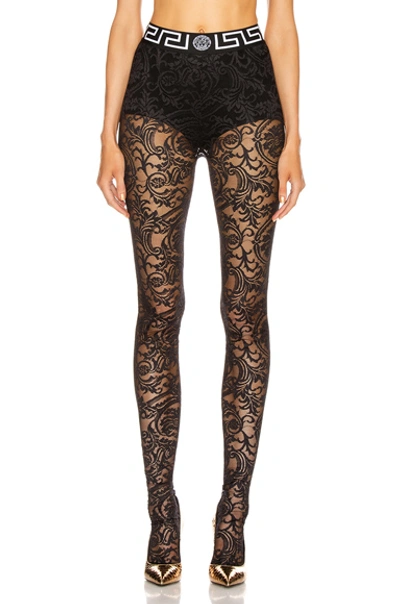Shop Versace All Over Lace Tights In Black