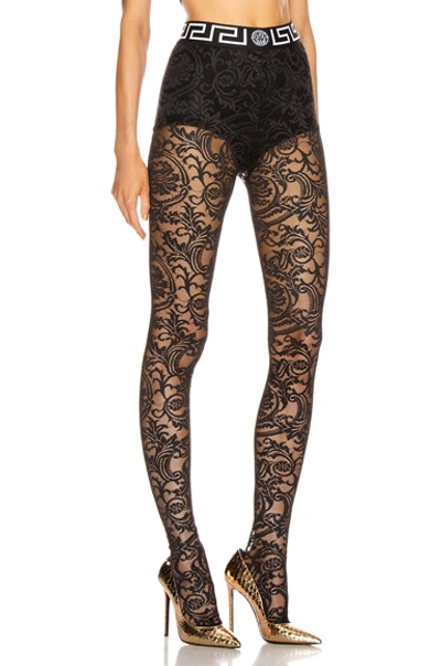 Shop Versace All Over Lace Tights In Black