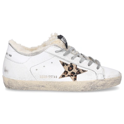 Shop Golden Goose Low-top Sneakers Superstar In White