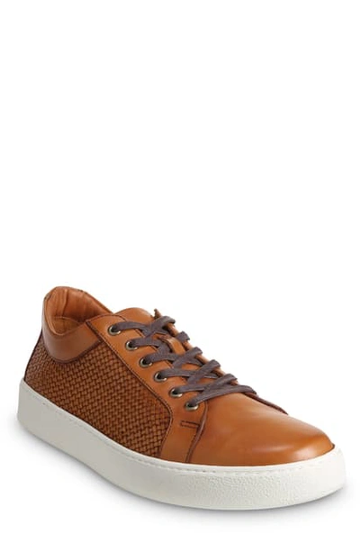 Shop Allen Edmonds Perth Sneaker In Walnut