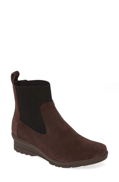 Shop Taryn Rose Emilyn Chelsea Boot In Bark Suede