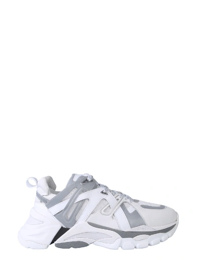 Shop Ash Fl Sneaker In Bianco