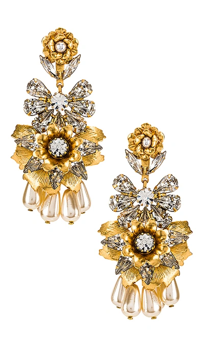 Shop Elizabeth Cole Charlie Earrings In Gold