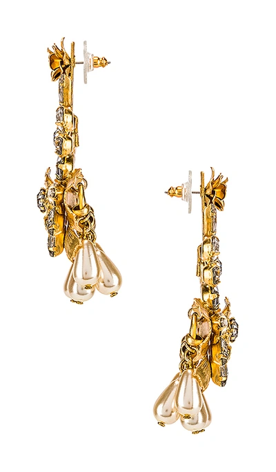 Shop Elizabeth Cole Charlie Earrings In Gold